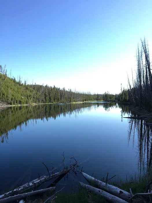Wapiti Lake Picture 3