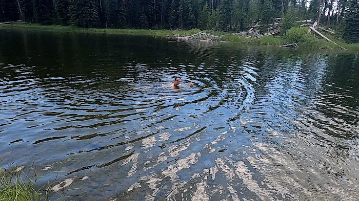 Wapiti Lake Picture 1