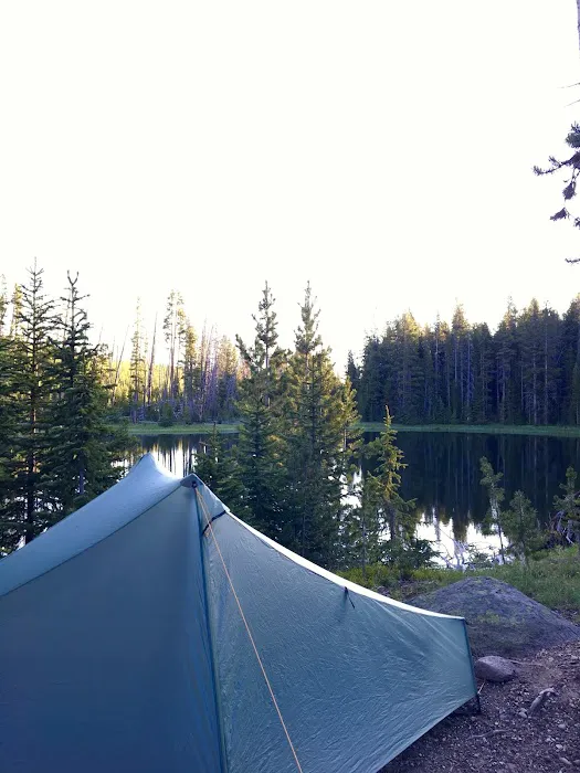 Wapiti Lake Picture 4