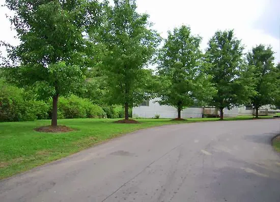 Athens Mobile Home Park Picture 4