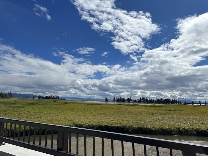 Pelican Creek Picture 1