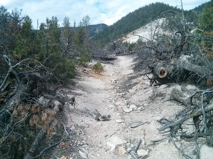 Old 7 Mile Hole Picture 2