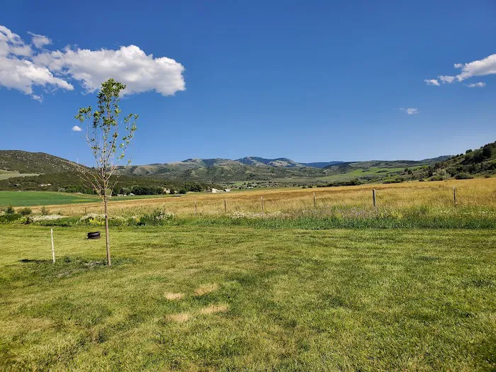 Smith's Trout Haven Picture 5