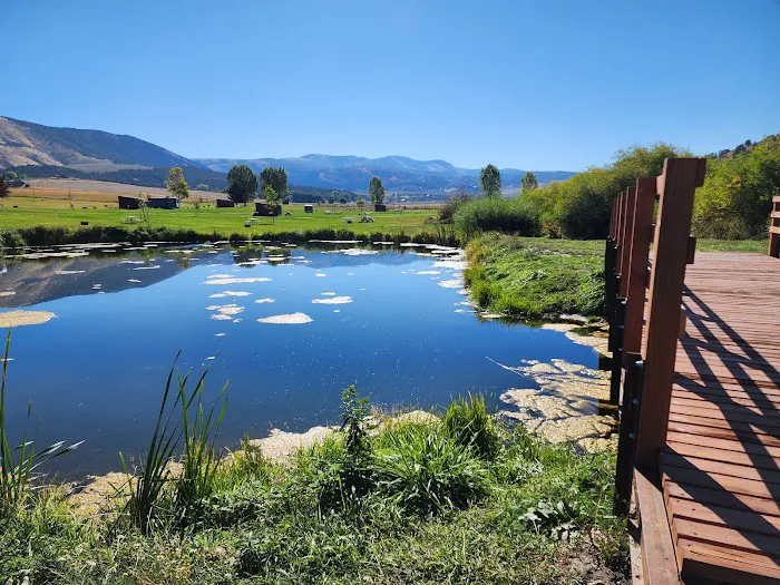 Smith's Trout Haven Picture 10