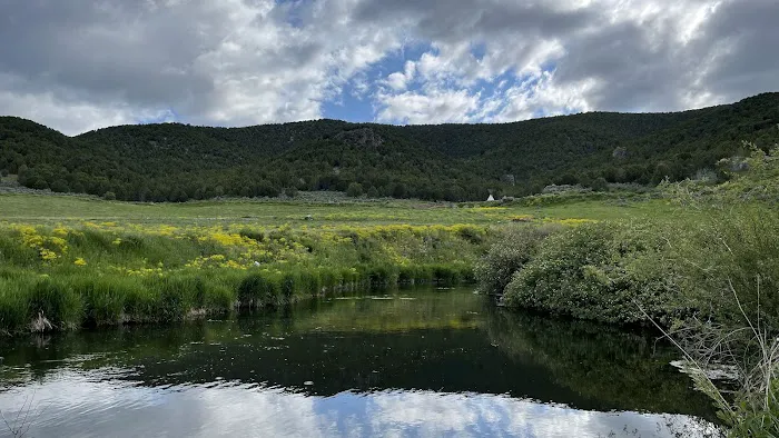 Portneuf Bend Campground Picture 9