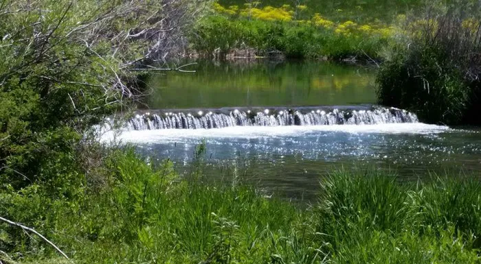 Portneuf Bend Campground Picture 5