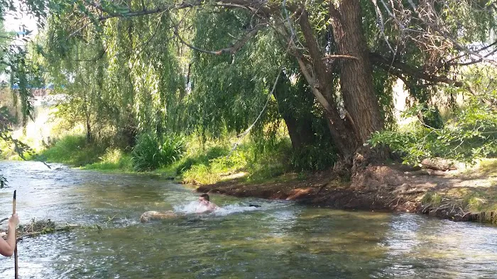 City Center KOA Picture 3