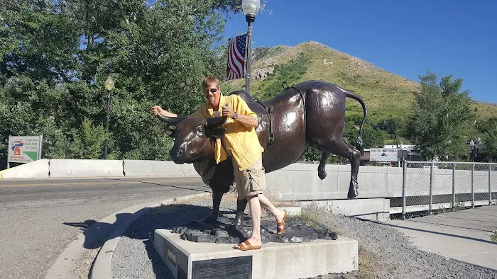 City Center KOA Picture 2