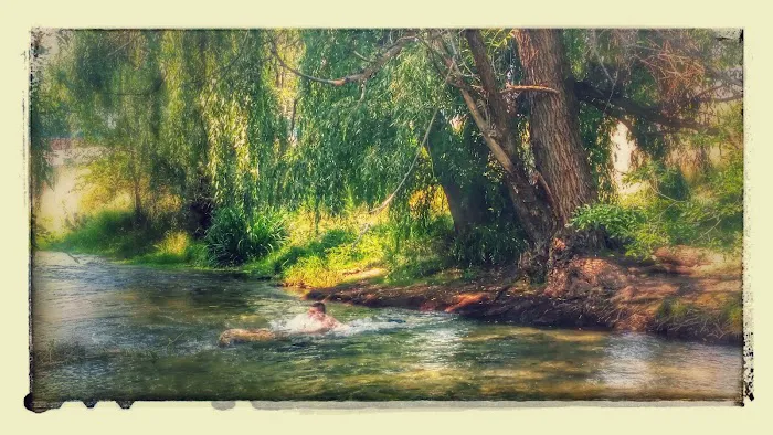 City Center KOA Picture 10