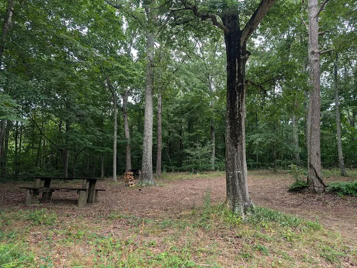 Ocoee River Experience, LLC Picture 7