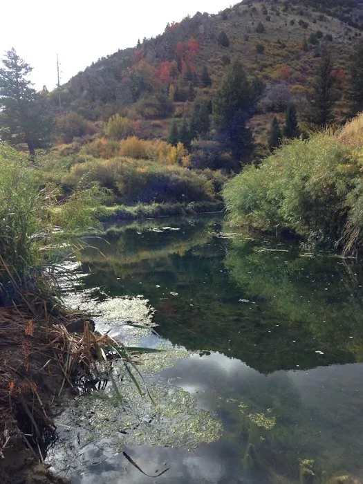 Lava Campground Picture 6