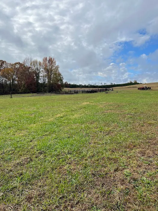 Coleman Country Condos Picture 2