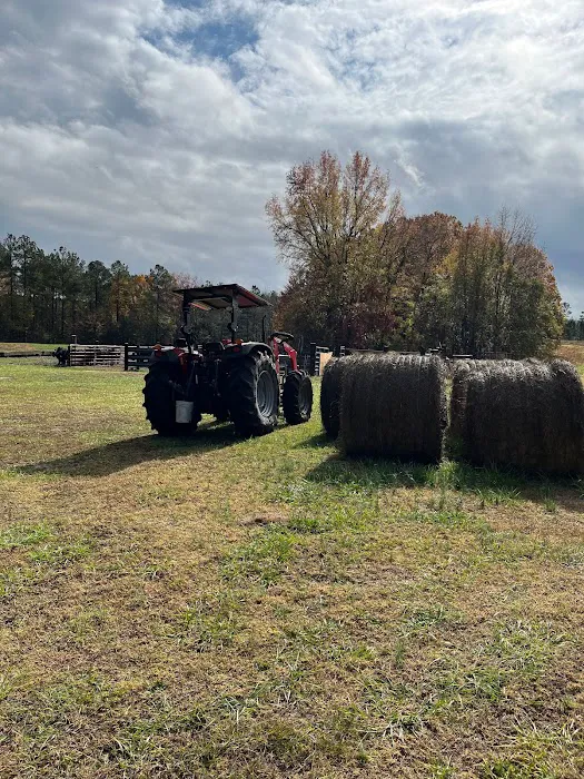 Coleman Country Condos Picture 3