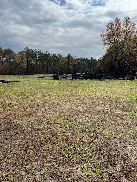 Coleman Country Condos Picture 6