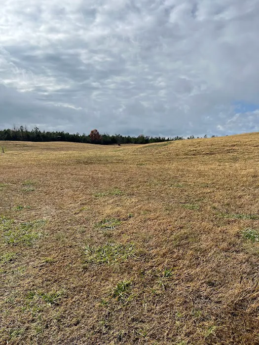 Coleman Country Condos Picture 8