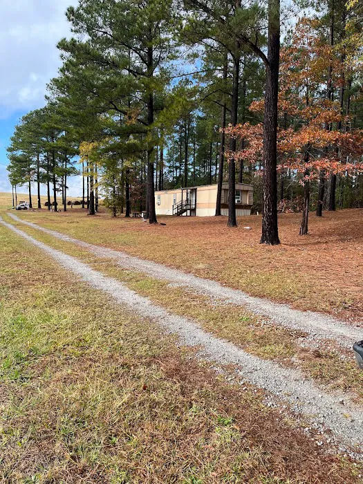 Coleman Country Condos Picture 9