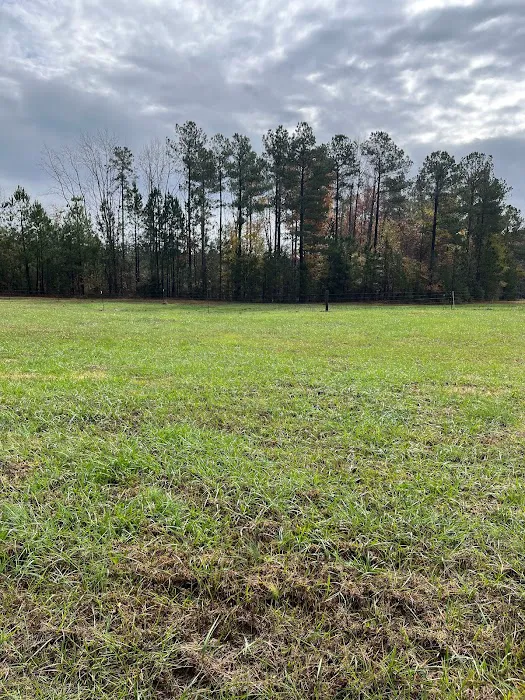 Coleman Country Condos Picture 7