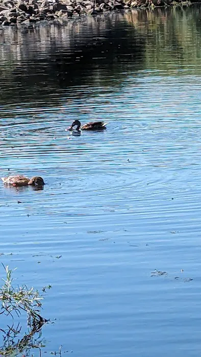 Hawkins Reservoir Campground Picture 3