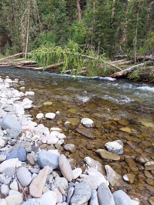 Wood River Campground Picture 3