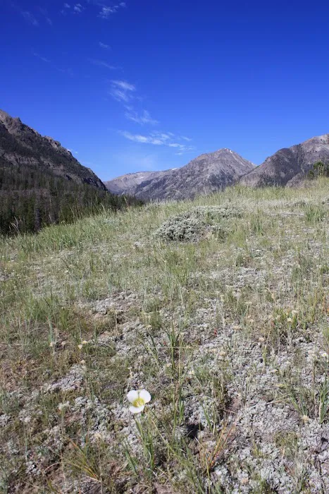 Wood River Campground Picture 8