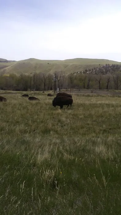 Wood River Campground Picture 10