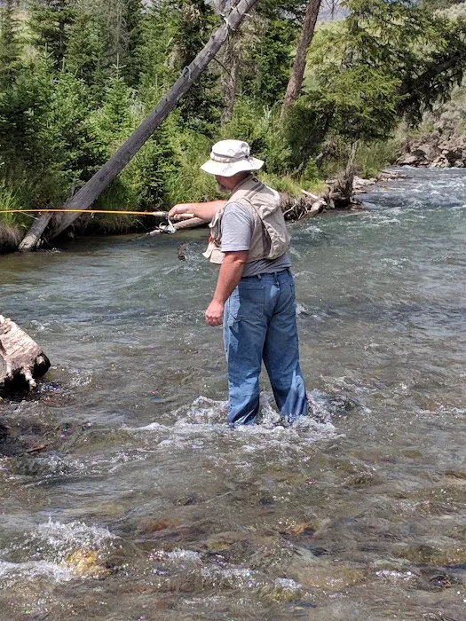 Wood River Campground Picture 9