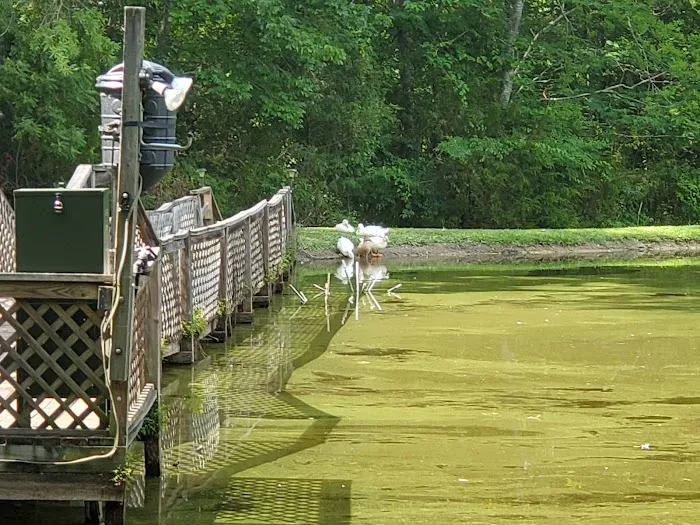 Mohawk RV- Columbia Picture 3