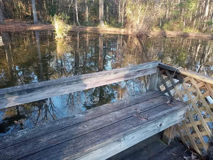 Mohawk RV- Columbia Picture 8