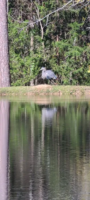 Mohawk RV- Columbia Picture 6