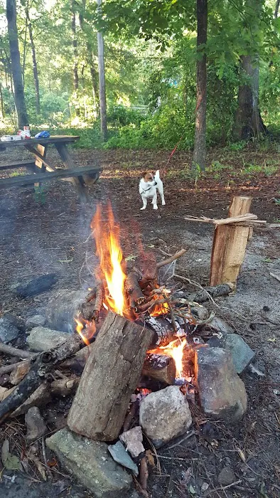 Mohawk RV- Columbia Picture 4