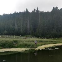 H Diamond W Youth Camp ico