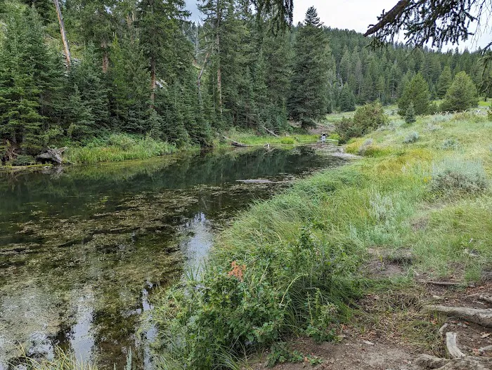 H Diamond W Youth Camp Picture 2