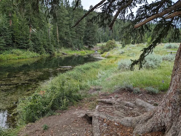 H Diamond W Youth Camp Picture 8