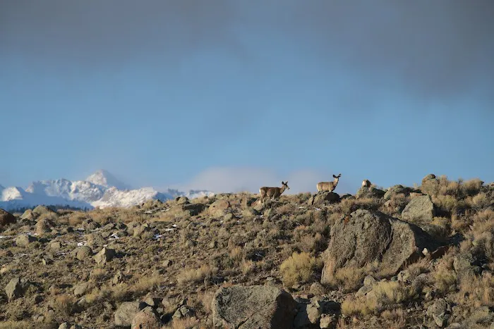 North Boulder Lake Campground Picture 1
