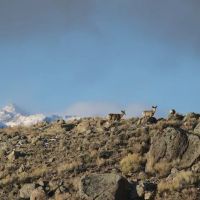 North Boulder Lake Campground ico