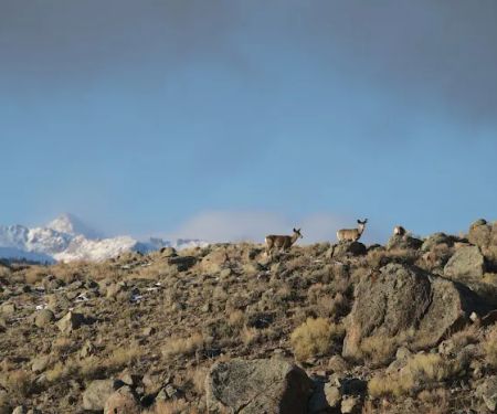 North Boulder Lake Campground