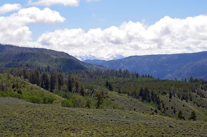 Boulder Lake Campground Picture 4