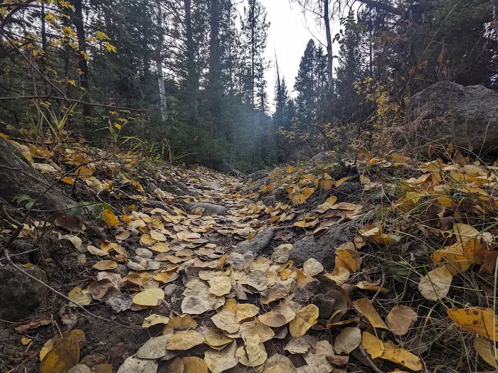 Boulder Lake Campground Picture 2