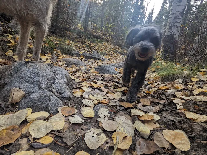 Boulder Lake Campground Picture 6