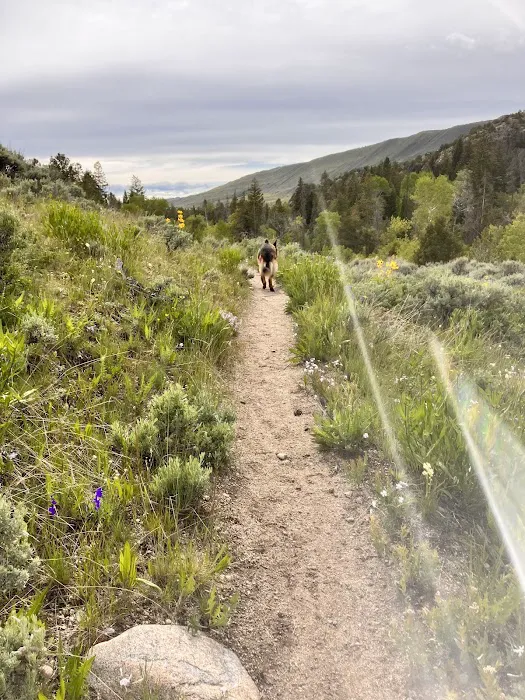 Boulder Lake Campground Picture 8