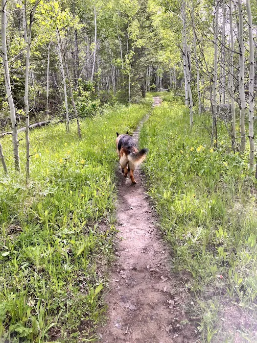 Boulder Lake Campground Picture 7