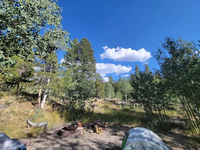 Scab Creek Campground Picture 1