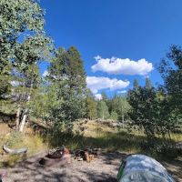 Scab Creek Campground ico