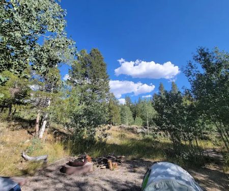 Scab Creek Campground