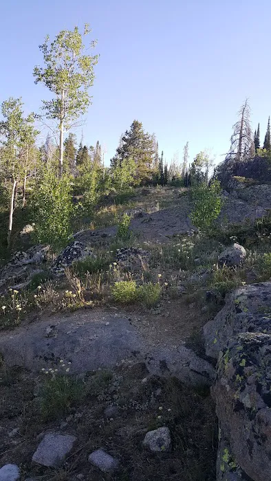 Scab Creek Campground Picture 8