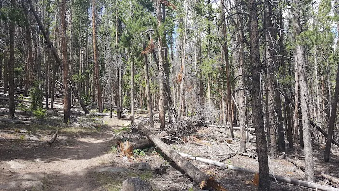 Scab Creek Campground Picture 10