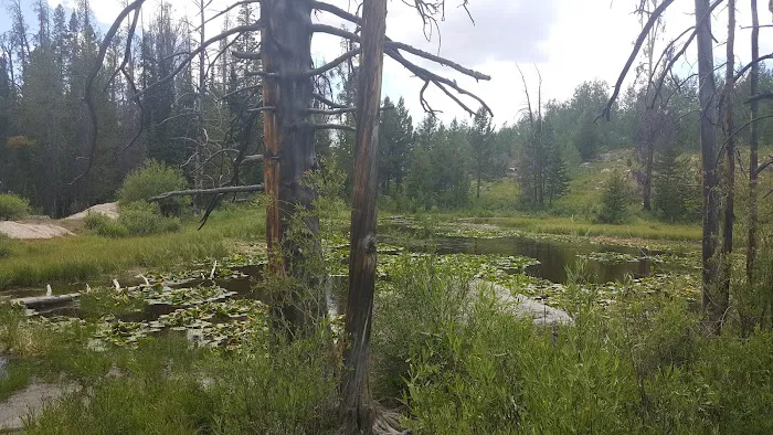 Scab Creek Campground Picture 7