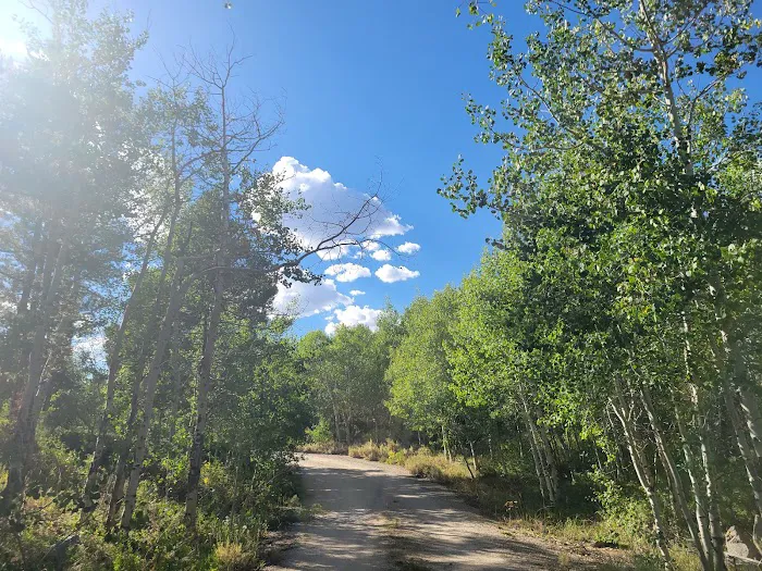 Scab Creek Campground Picture 9