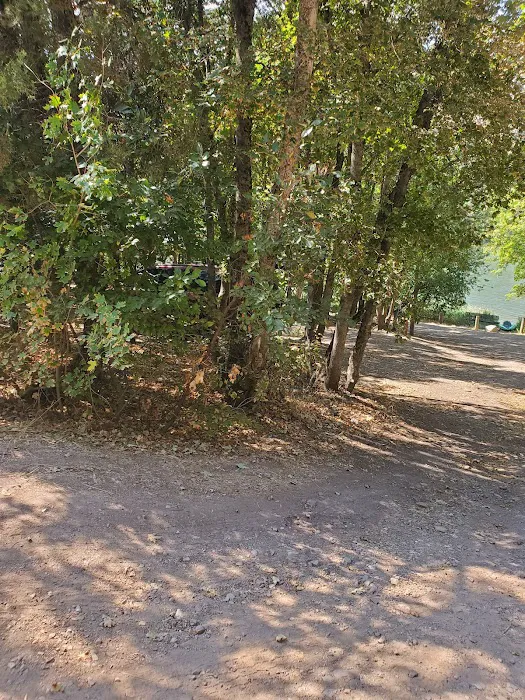 Maple Grove Campground Picture 1