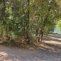 Maple Grove Campground ico